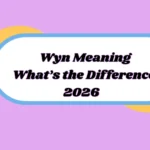 Wyn Meaning