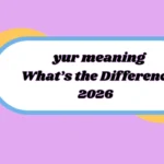 yur meaning